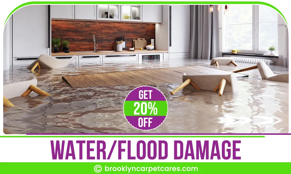 carpet cleaning in brooklyn, carpet cleaning in new york, carpet cleaning brooklyn, carpet cleaners in brooklyn, carpet cleaners in new york, commercial carpet cleaning, commercial carpet cleaning in brooklyn, brooklyn rug cleaners, rug cleaning services in brooklyn, same day carpet cleaning, same day rug cleaning