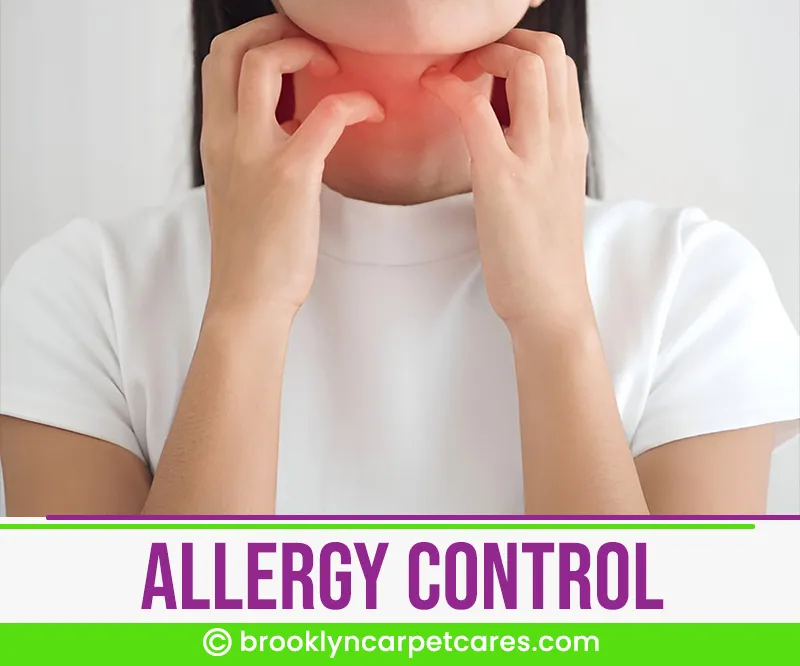 carpet cleaning in brooklyn, carpet cleaning in new york, carpet cleaning brooklyn, carpet cleaners in brooklyn, carpet cleaners in new york, commercial carpet cleaning, commercial carpet cleaning in brooklyn, brooklyn rug cleaners, rug cleaning services in brooklyn, same day carpet cleaning, same day rug cleaning