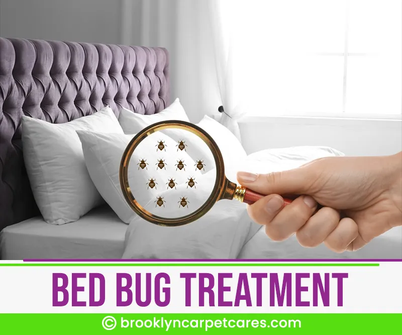 carpet cleaning in brooklyn, carpet cleaning in new york, carpet cleaning brooklyn, carpet cleaners in brooklyn, carpet cleaners in new york, commercial carpet cleaning, commercial carpet cleaning in brooklyn, brooklyn rug cleaners, rug cleaning services in brooklyn, same day carpet cleaning, same day rug cleaning