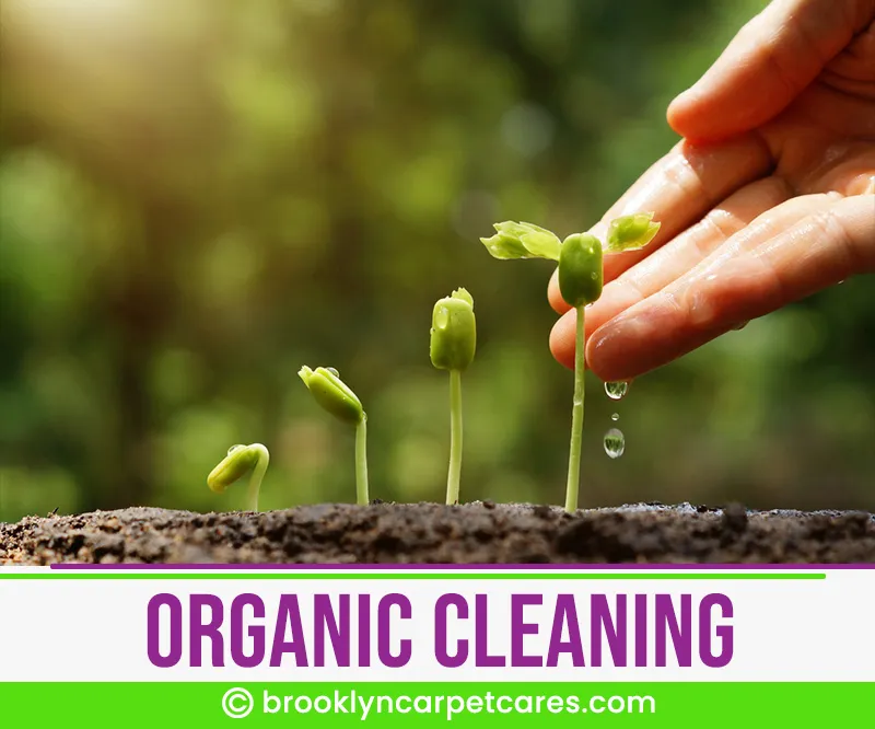 carpet cleaning in brooklyn, carpet cleaning in new york, carpet cleaning brooklyn, carpet cleaners in brooklyn, carpet cleaners in new york, commercial carpet cleaning, commercial carpet cleaning in brooklyn, brooklyn rug cleaners, rug cleaning services in brooklyn, same day carpet cleaning, same day rug cleaning