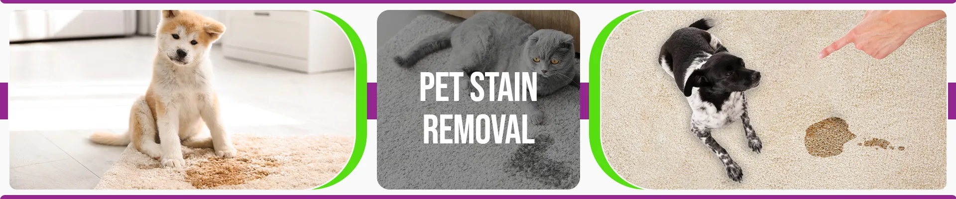 carpet cleaning in brooklyn, carpet cleaning in brooklyn, carpet cleaning brooklyn, carpet cleaners in brooklyn, carpet cleaners in brooklyn, commercial carpet cleaning, commercial carpet cleaning in brooklyn, brooklyn rug cleaners, rug cleaning services in brooklyn, same day carpet cleaning, same day rug cleaning